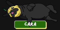 cara cara